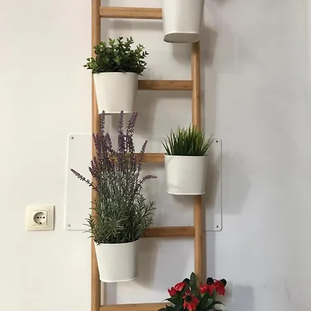Urban Center Dream Apartment